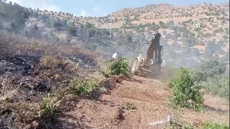 Bingöl'deki orman yangını söndürüldü - Resim: 11